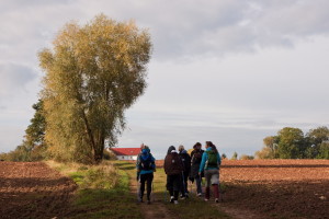 Motiv 163